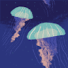 jellyfish109